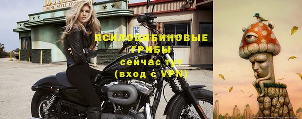 apvp Кинешма