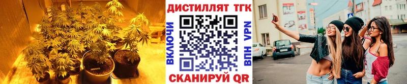 Дистиллят ТГК гашишное масло  кракен сайт  Ак-Довурак  купить наркотики цена 