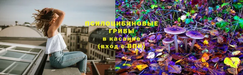 Галлюциногенные грибы Magic Shrooms Ак-Довурак