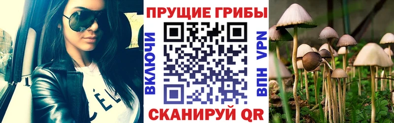 Галлюциногенные грибы мухоморы закладка мега ССЫЛКА Ак-Довурак